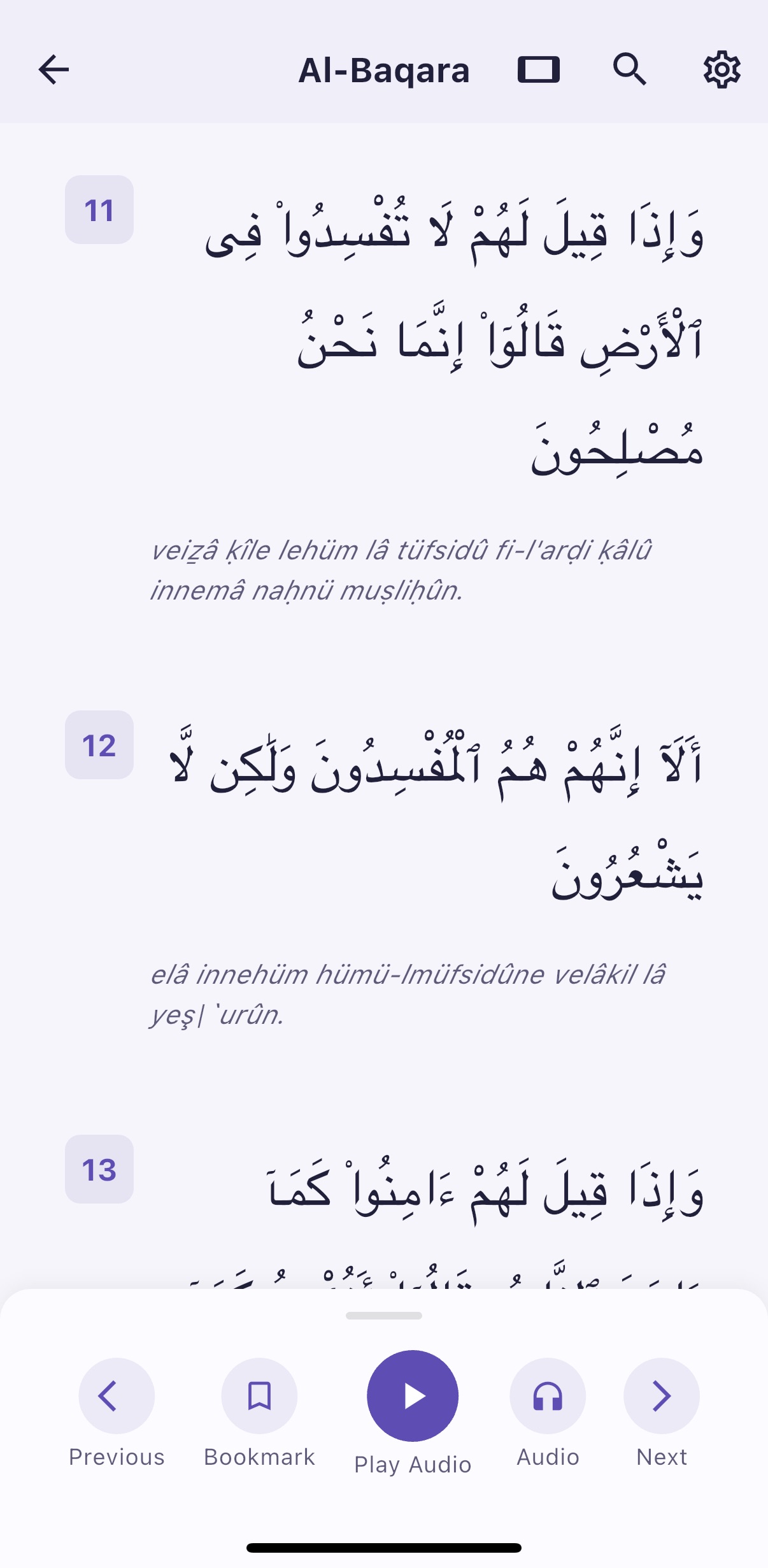 Hatim uygulaması ekran görüntüsü 3